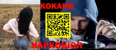 сатива Краснознаменск