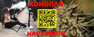 сатива Краснознаменск