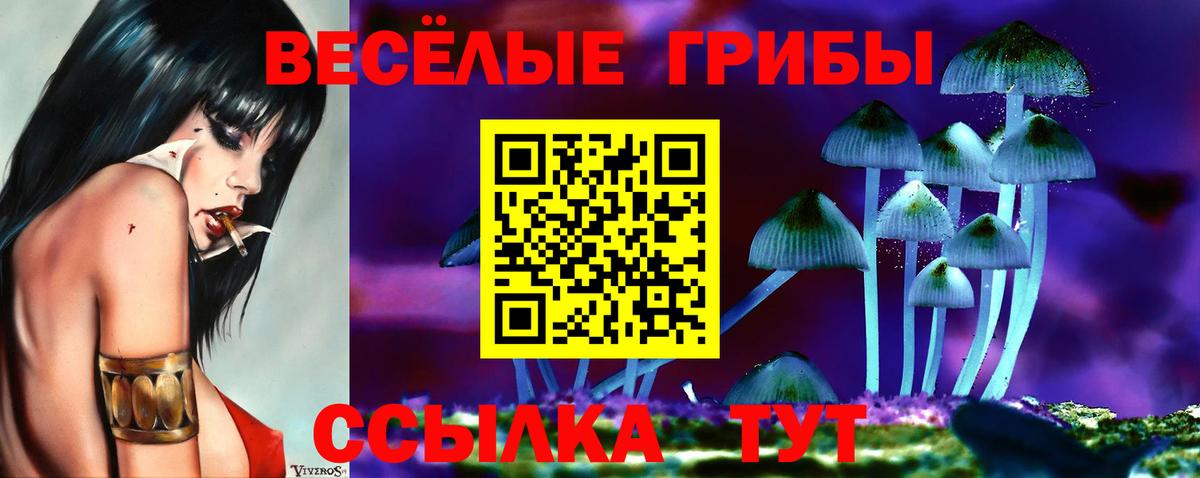 Жигулёвск  Галлюциногенные грибы мухоморы  Галлюциногенные грибы MAGIC MUSHROOMS  Вход с VPN 